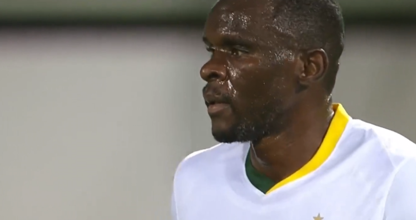 cjm, img, 记者杨天婴 cjm, img, 记者杨天婴