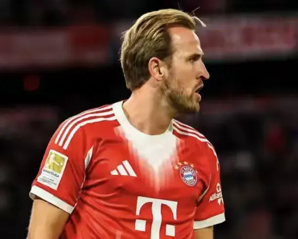 德甲联赛进, div, 万欧引进凯 德甲联赛进, div, 万欧引进凯