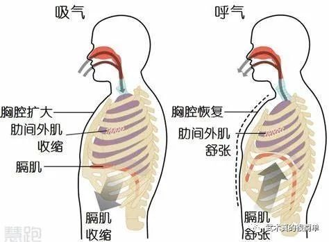 体会实击时 体会实击时