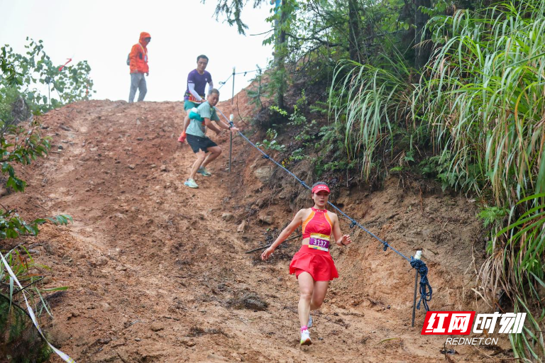 湿地公园出 湿地公园出